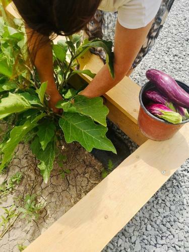 Apartamento 2 Bed Cottage With Pool & Garden