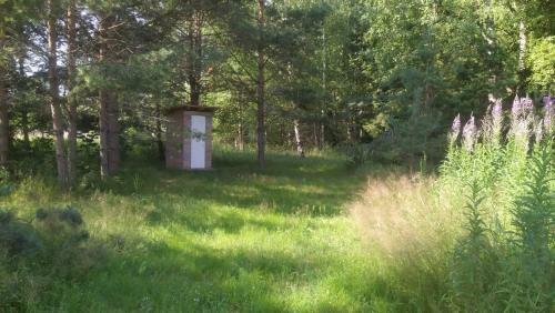 Korjuse Moor