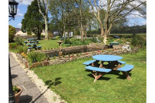 Hostal Lamphey Hall Hotel