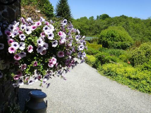 Bed & Breakfast Tor Cottage