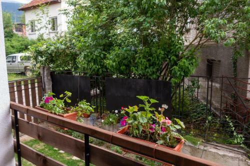 Hostal Guest House Markovi