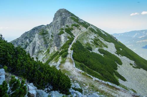 Hostal Guest House Markovi