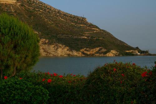 Anasia Villa By Agroholidays