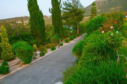 Anasia Villa By Agroholidays