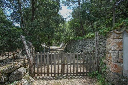 Pollenca - 35056 Mallorca
