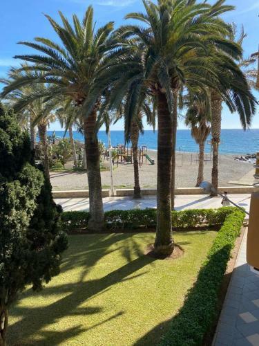 Apartamento Las Palmeras