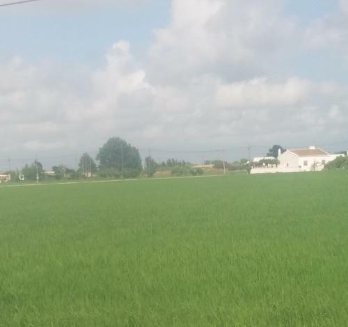 Apartamento Allotjament Turistic Lo Flamenc