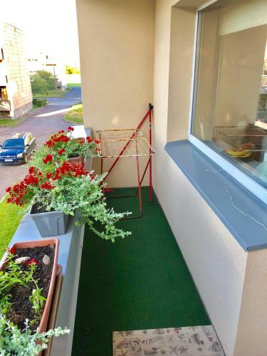 Wind Rose Apartment