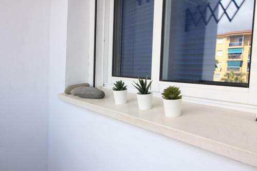 Apartamento Tamaringo