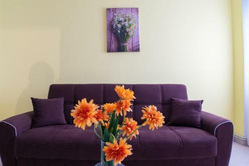 Apartamentos Enteros O Lagar