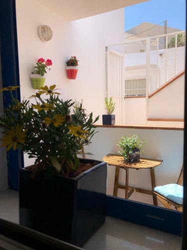 Apartamento Isleta 5