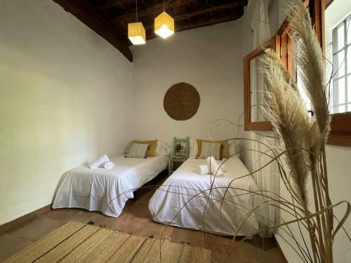 Villa Can Valenci�
