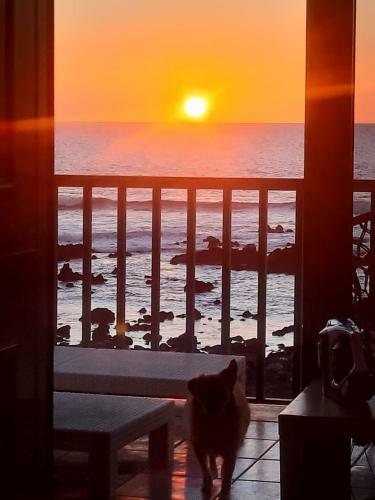 Bed & Breakfast Esencia Lanzarote
