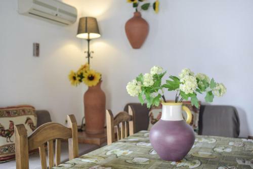 Casa Miguelin 5