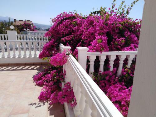 Coral Bride Villa
