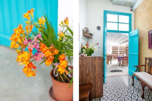 Bougainvillea Garden