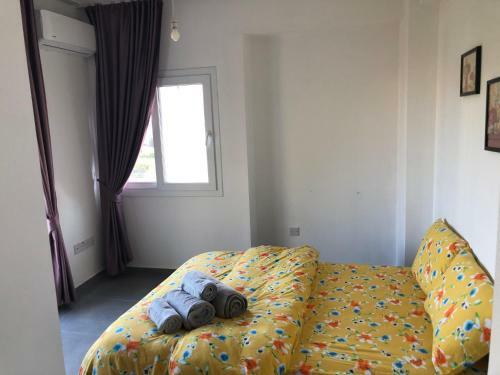 Reflex Apartment Spacious And Comfortable