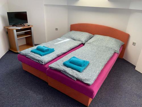 Hostal Penzion Ronox