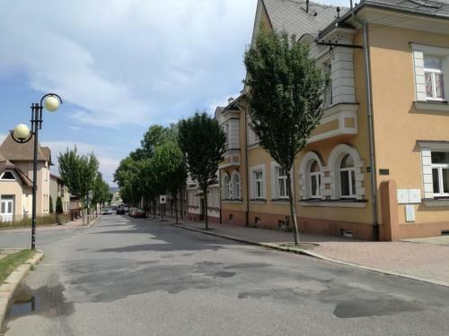 Apartm�n U Horyn?