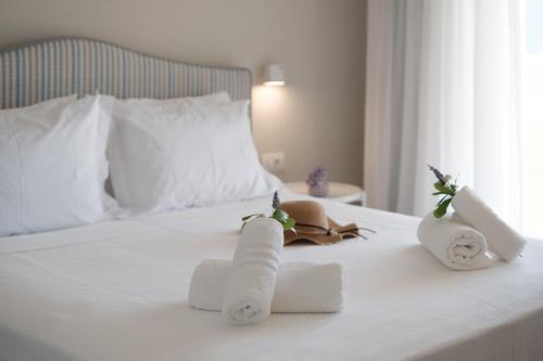 Armikes Beachfront Suites Afionas