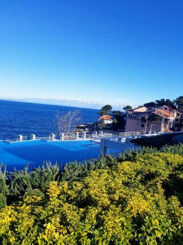 Apartmaji Punta