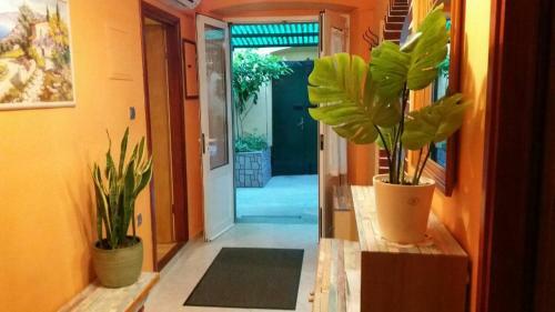 Apartman Jadranka