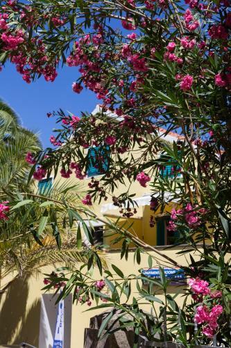 Apartamentos Bigblue House