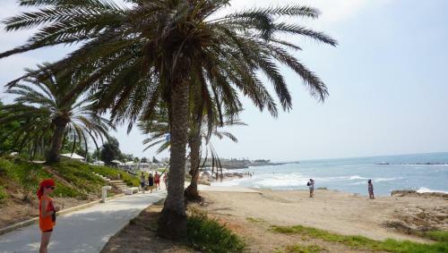 Apartamento Limnaria Gardens Paphos, Near Beach
