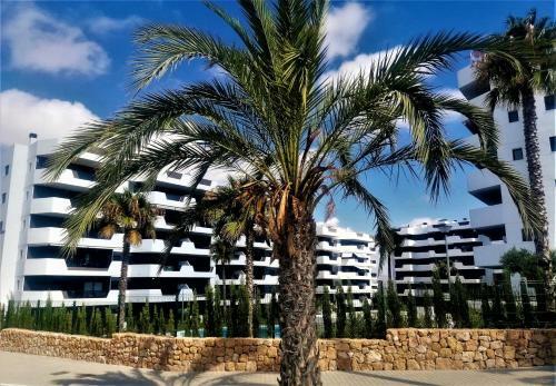 Cosy Ground Floor Apartment With Direct Access To The Pool