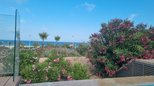 Mediterranean First Line Beach Luxury Villa With Private Pool In Alicante