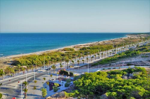 Beachfront Luxury Apartments