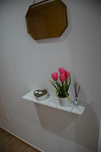 Apartamento Arenales Beach