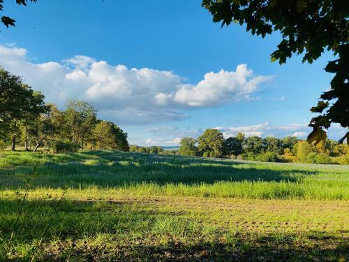 Apartamento Boutique Byt ?esk� Bud?jovice