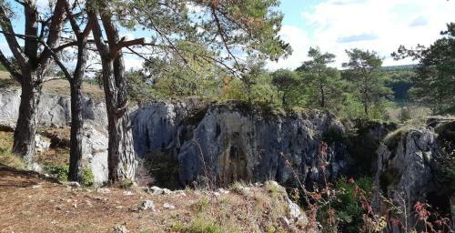 Apartamento Les Gabelous - Micro-g�tes