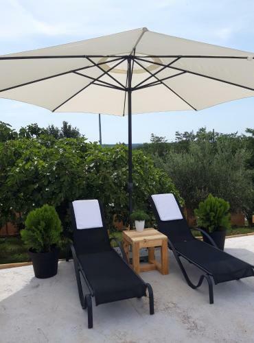 Villa Casa Nora Adriatica
