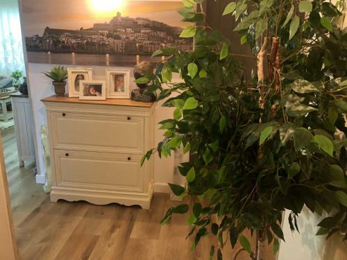 Apartamento Mi Sue�o