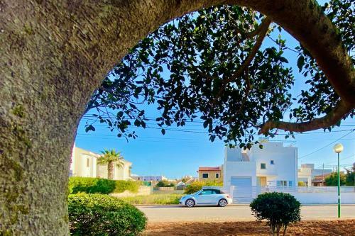 Villa "isla Bonita"