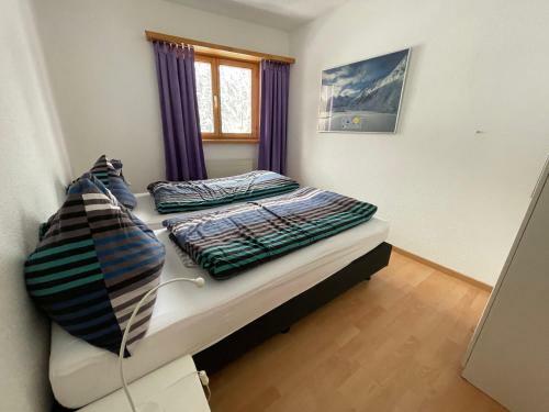 Apartamentos Alberti 5
