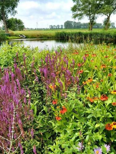 Bed & Breakfast Logies De Meerkoet