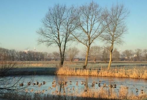 Bed & Breakfast Logies De Meerkoet