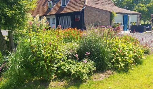Bed & Breakfast Logies De Meerkoet
