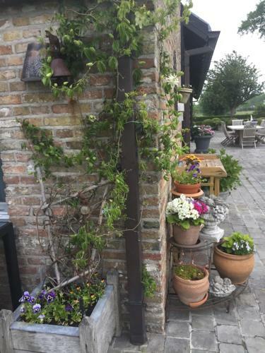 Bed & Breakfast Logies De Meerkoet