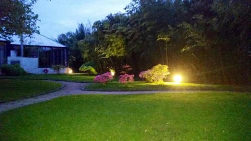 Hotel Paradiso Park