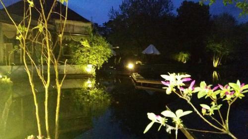 Hotel Paradiso Park