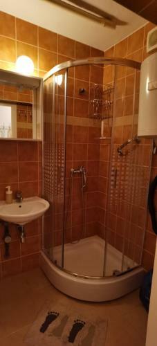 Studio Apartman Tonka