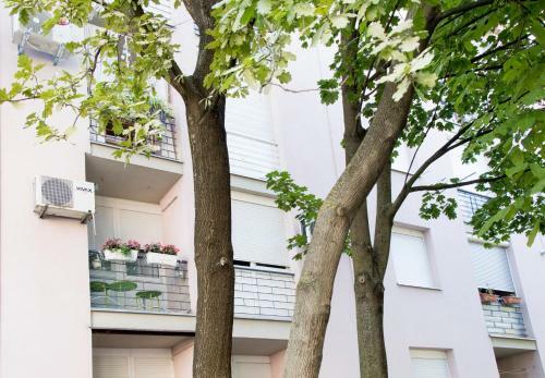 Apartman Ante