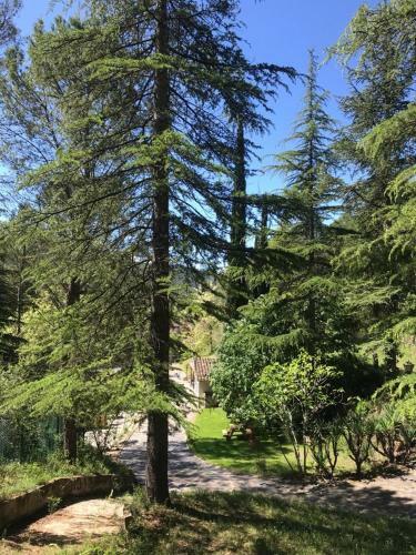 Bed & Breakfast Els Avets de La Muga