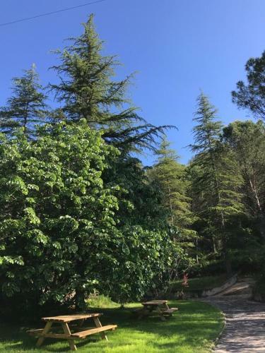 Bed & Breakfast Els Avets de La Muga