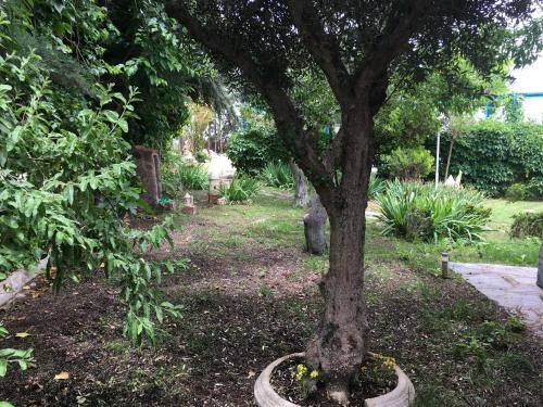 Agroturismo Casa Rural En Las Nieves