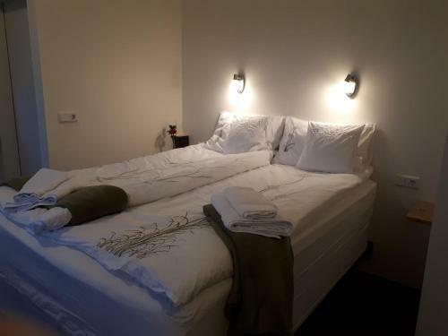 B&B S�lheimar 9